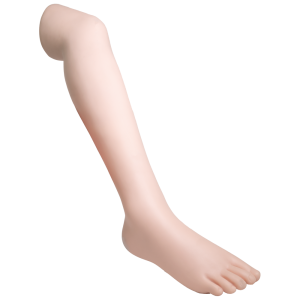 Demo Leg Paediatric